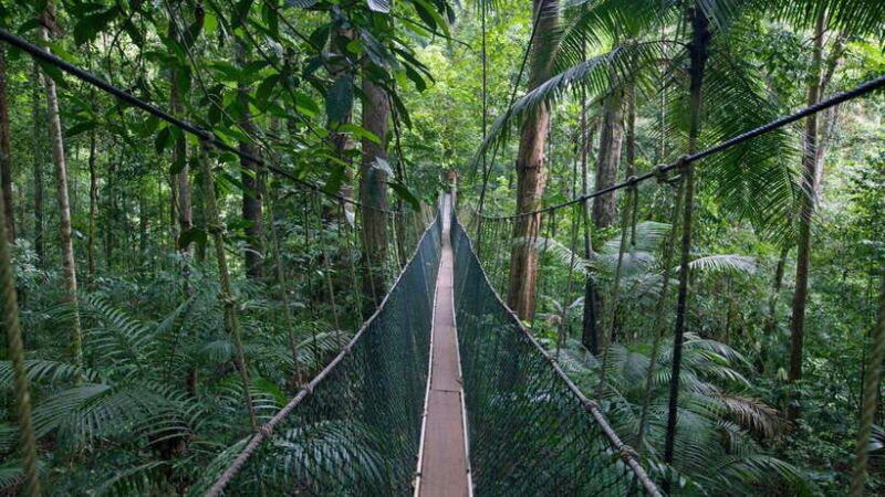from-kuala-lumpur-full-day-tour-to-taman-negara
