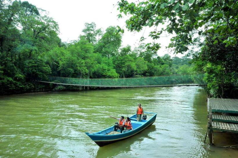from-kuala-lumpur-taman-negara-private-tour