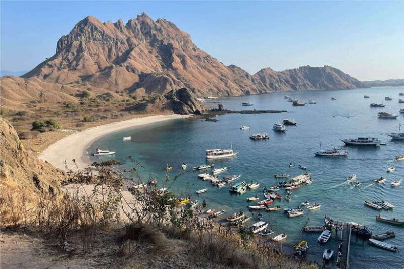 from-labuan-bajo-komodo-dragons-and-island-hop-with-all-fee