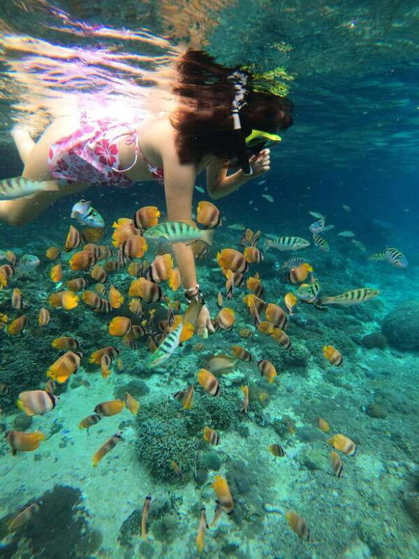 from-lembongan-snorkeling-3-spots-mangrove-and-land-tour