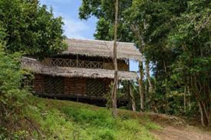 from-leticia-3-days-2-nights-rainforest-trek-and-boat-trip