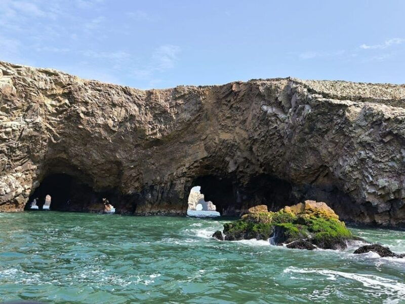 from-lima-full-day-paracas-ica-2
