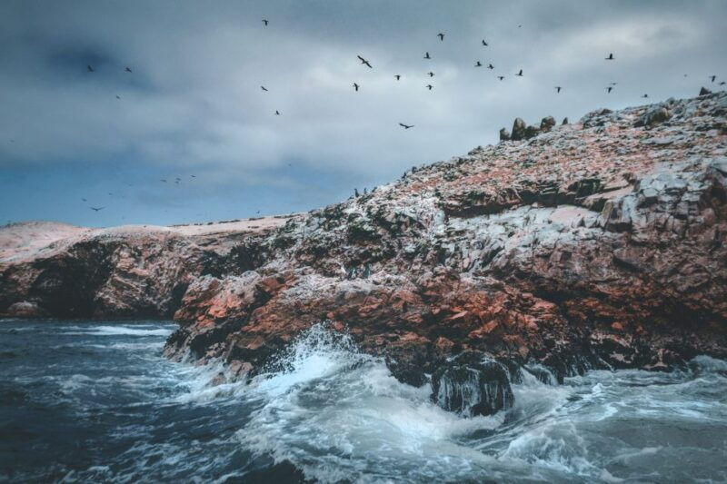 from-lima-paracas-reserve-ballestas-islands-private-trip