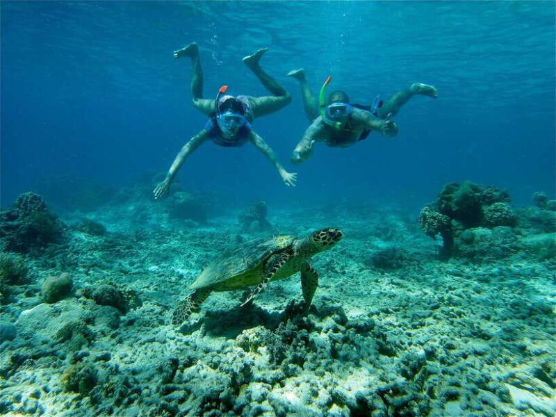 from-lombok-gili-islands-snorkeling-day-trip
