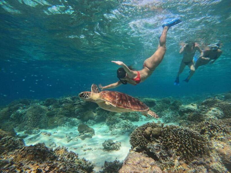 from-lombok-private-snorkeling-trip-include-gopro-shoot