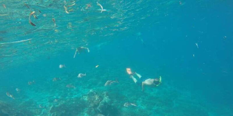 from-lombok-southern-gilis-private-snorkelling-day-trip