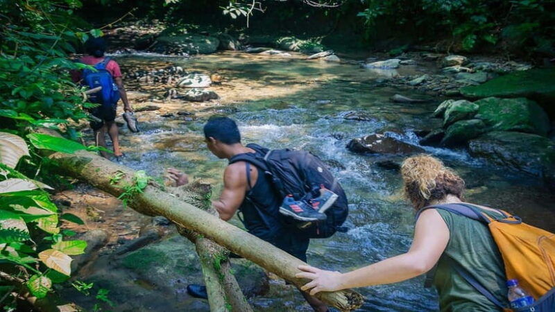 from-medan-bukit-lawang-orangutan-tour-mt-leuser