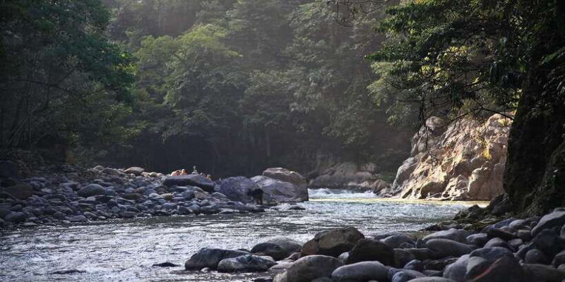 from-medan-mount-leuser-national-park-full-day-trip-2