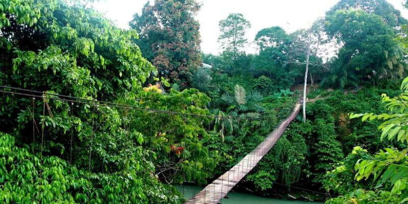 from-medan-mount-leuser-national-park-full-day-trip
