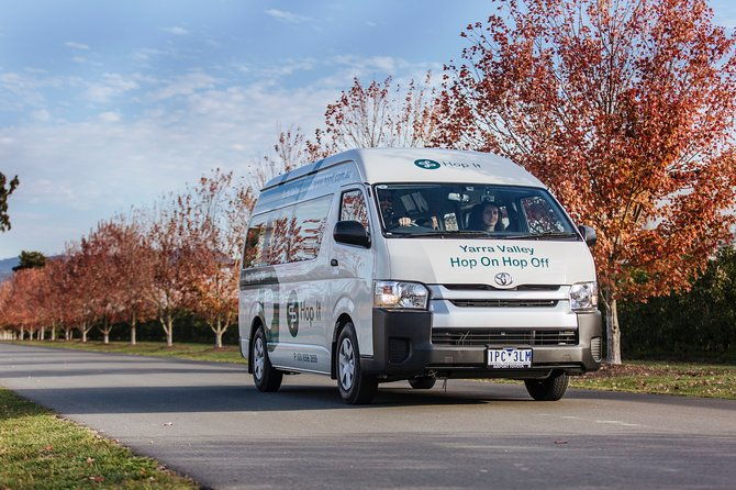 From Melbourne: Hop On Hop Off Mornington Peninsula - The Sum Up