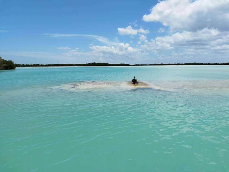 from-merida-swing-island-progreso