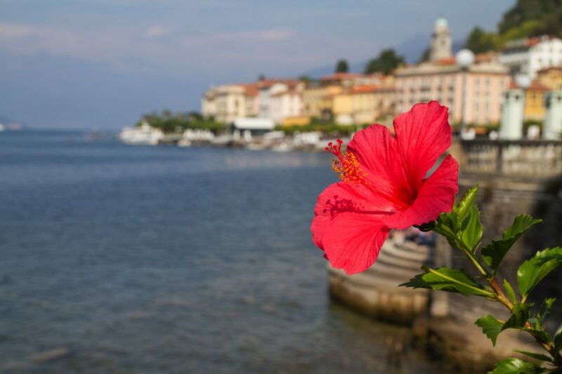 from-milan-lake-como-bellagio-a-varenna-day-trip