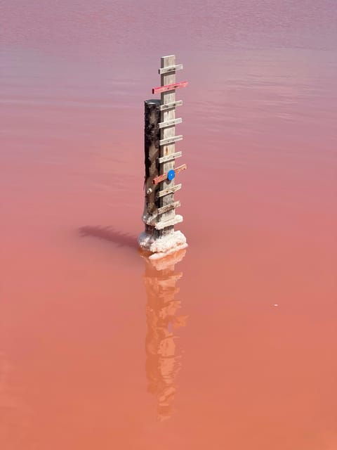 from-montpellier-camargue-and-salt-marshes-guided-tour