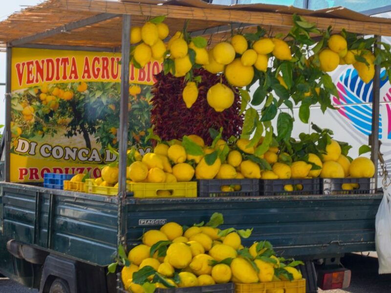 from-naples-one-way-transfer-to-sorrento-with-pompeii-tour