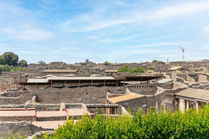 from-naples-pompeii-ruins-mount-vesuvius-day-tour