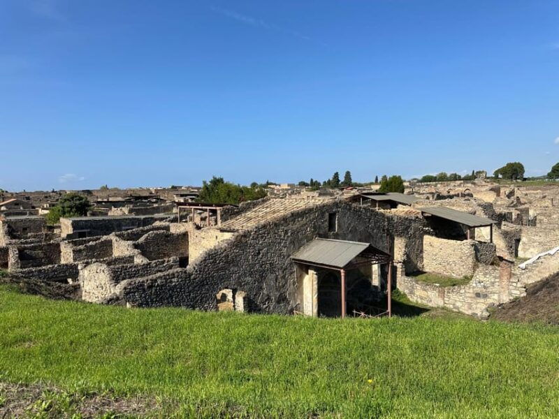 from-naples-pompeii-ruins-naples-walking-tour