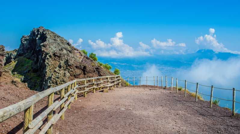 from-naples-vesuvius-and-herculaneum-day-trip-with-tickets