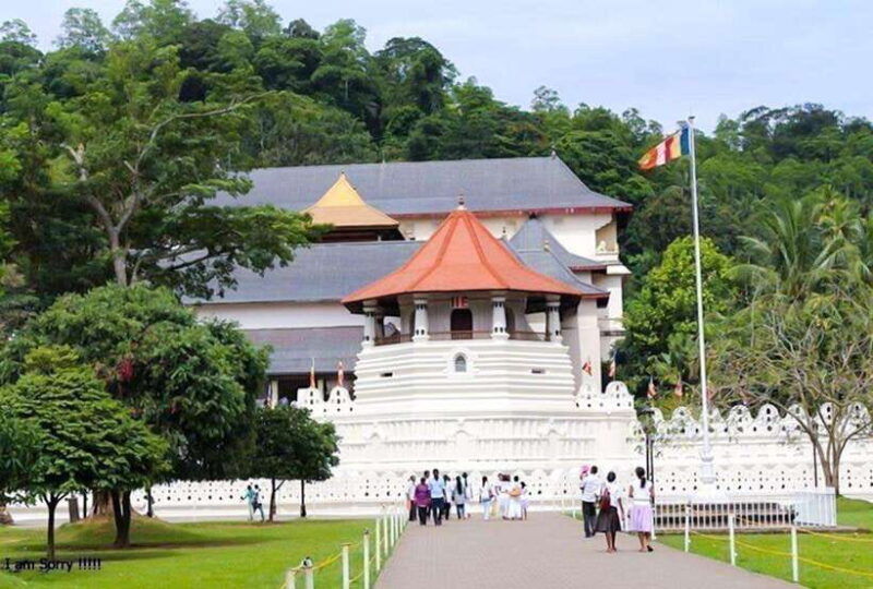 from-negombo-2-day-nuwara-eliya-kandy-tour-with-transfer