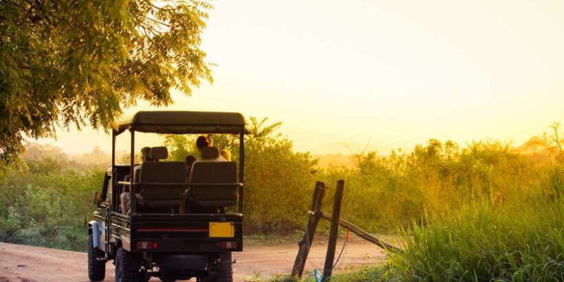 from-negombo-minneriya-national-park-safari-tour