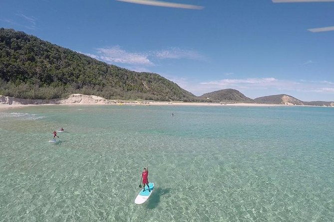 From Noosa: Stand Up Paddle Wildlife & Beach 4X4 Adventure - Who Will Love This Tour?