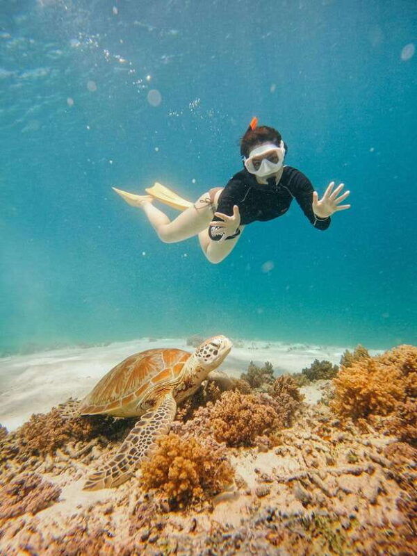 from-nusa-penida-2d1n-gili-islands-private-snorkeling-tour