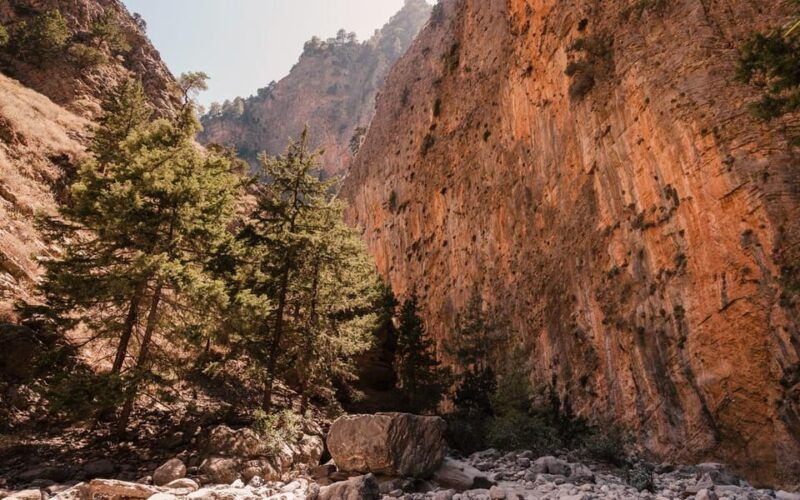 from-panormo-or-lavris-samaria-gorge-hike-with-guide
