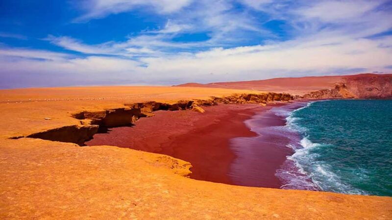 from-paracas-ballestas-islands-and-paracas-national-reserve-3