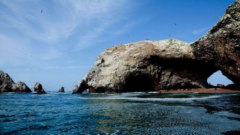 from-paracas-excursion-to-the-ballestas-islands-3-hours