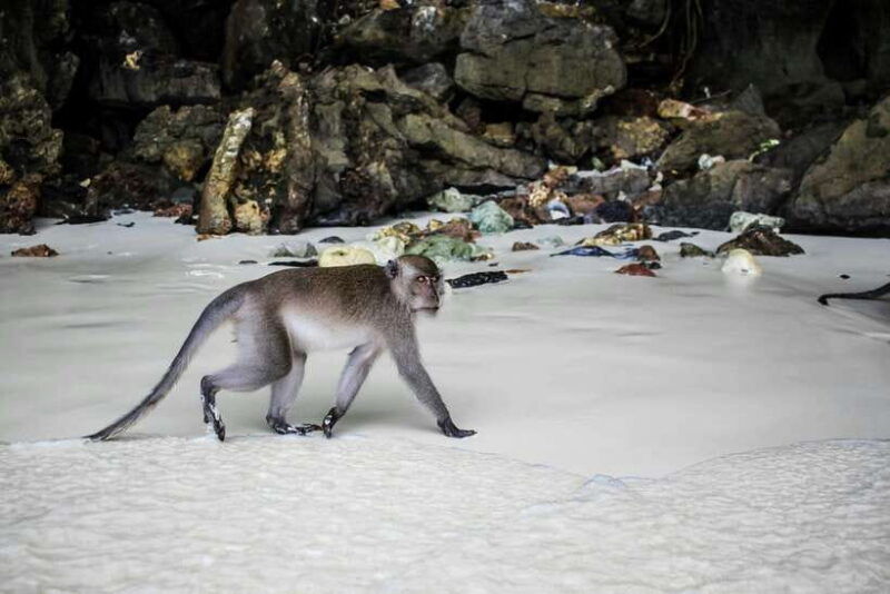 from-phi-phi-full-day-7-island-tour-by-longtail-with-sunset