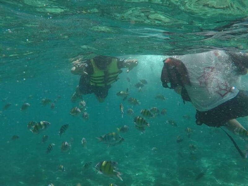 from-phi-phi-island-half-day-tour-by-longtail-boat