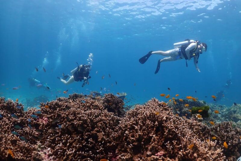 from-phuket-3-day-ssi-padi-open-water-diver-certification