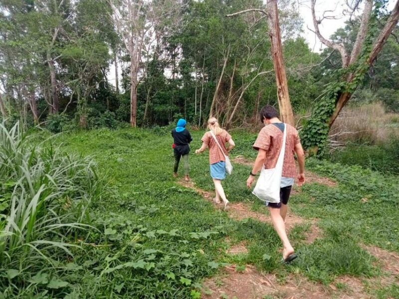 from-phuket-ethical-elephant-interactive-trek-and-tour