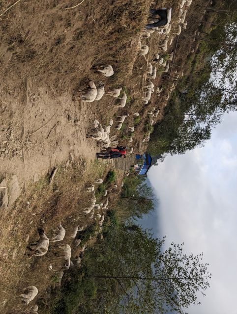 from-pokhara-5-day-annapurna-base-camp-trek-3