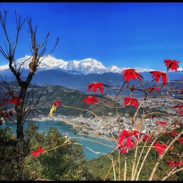 from-pokhara-guided-day-jungle-hiking-tour-with-boat-ride