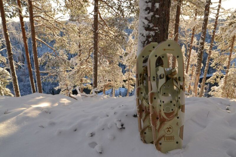 from-ruka-snowshoeing-in-riisitunturi-national-park