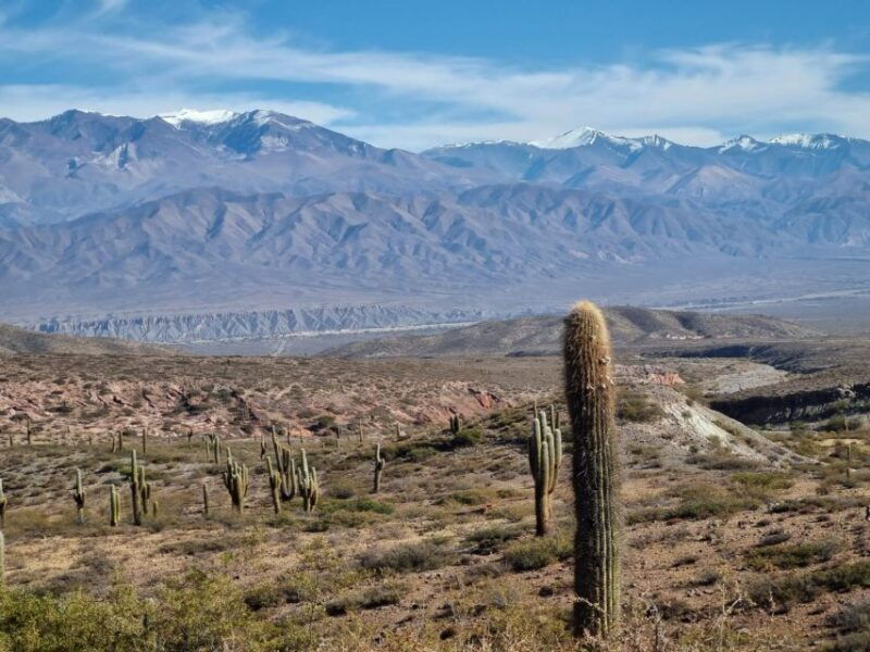 from-salta-2-day-guided-trip-to-cafayate-and-cachi