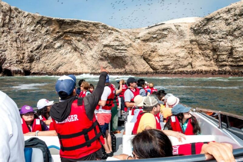 from-san-martin-port-ballestas-islands-tour-in-paracas