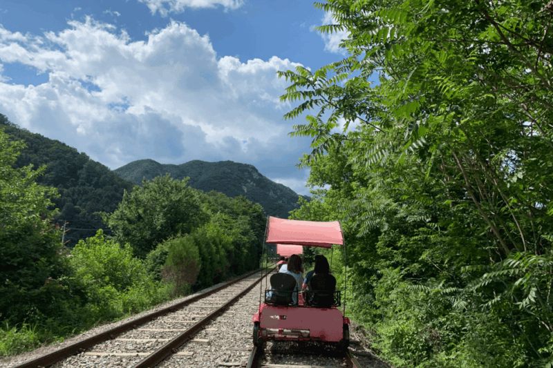 from-seoul-alpaca-farm-with-rail-bike-luge-racing
