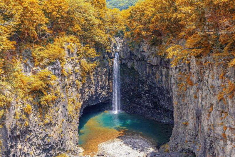 from-seoul-dmz-and-unesco-geopark-jaein-falls-one-day-tour