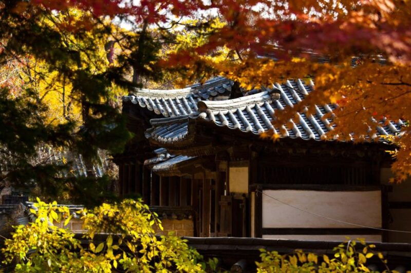 from-seoul-suwon-hwaseong-fortress-folk-village-day-tour