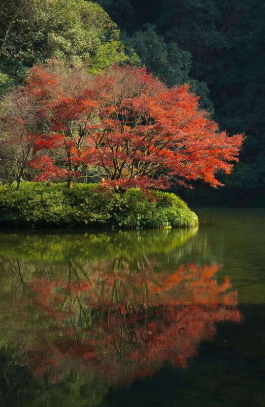 from-shanghaihangzhou-temple-zen-and-longjing-tea-ceremony
