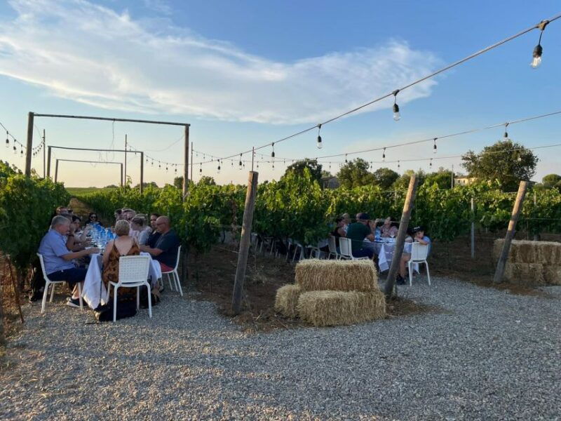 from-siena-chianti-dinner-drinks-in-the-chianti-vineyards