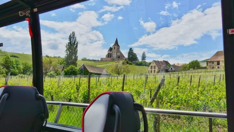 from-strasbourg-medieval-villages-wine-tasting-day-trip