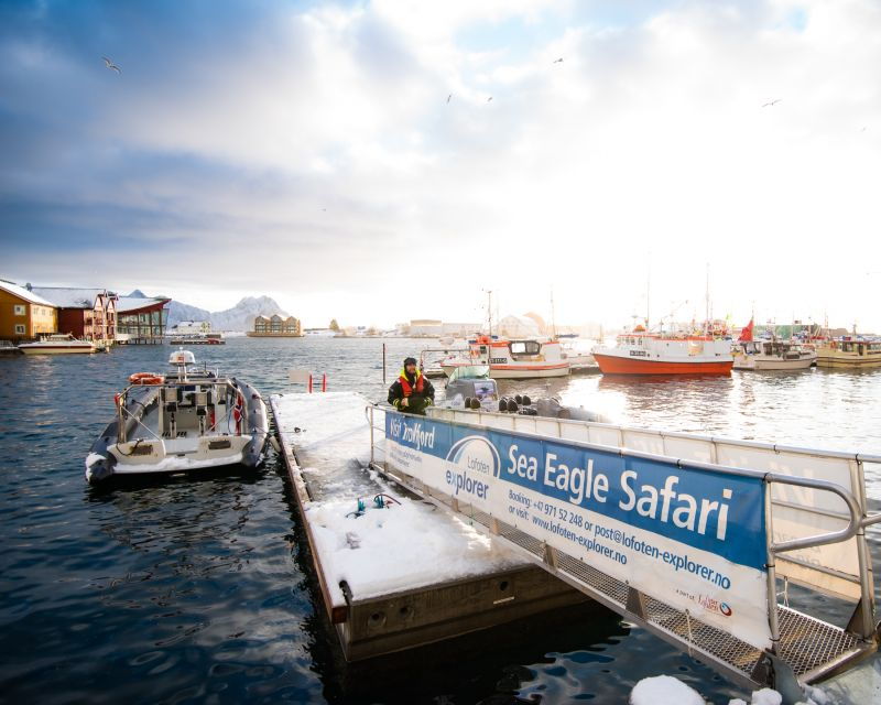 from-svolvaer-trollfjorden-wildlife-rib-cruise