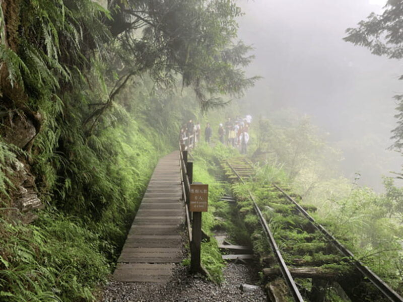 from-taipei-taipingshan-national-forest-private-day-tour