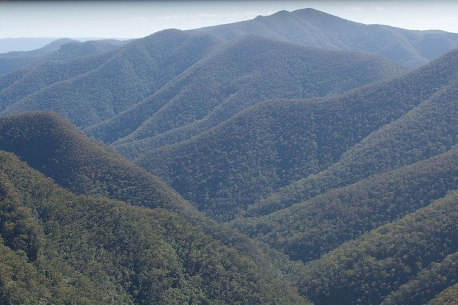 From the Mountains to the Bay - 4 Day Rediscovery Private Tour - The Sum Up