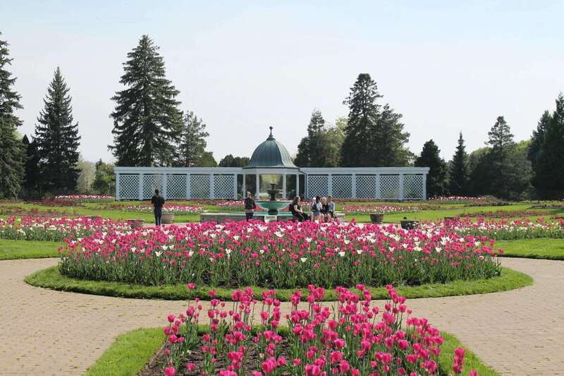 from-toronto-niagara-falls-private-day-tour