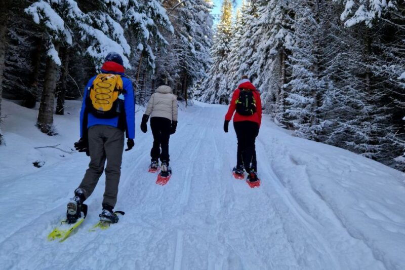 from-tromso-snowshoe-hike-in-the-arctic