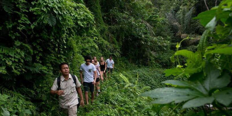 from-ubud-3-hour-tropical-trek-and-taro-village-tour