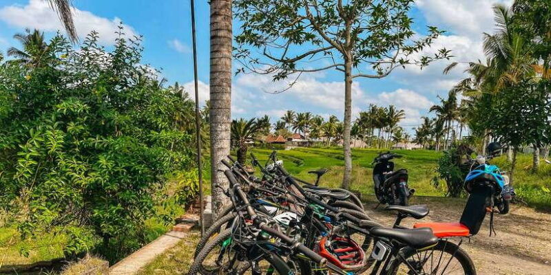 from-ubud-downhill-bike-tour-with-rice-terraces-and-meal